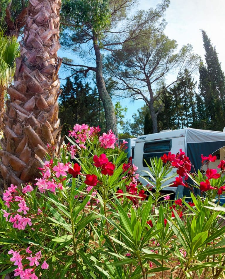 Stellplatz für Wohnwagen, Campingplatz an der Côte d'Azur mit Privat