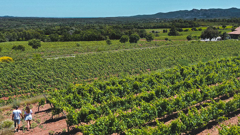 Route des vins La Motte