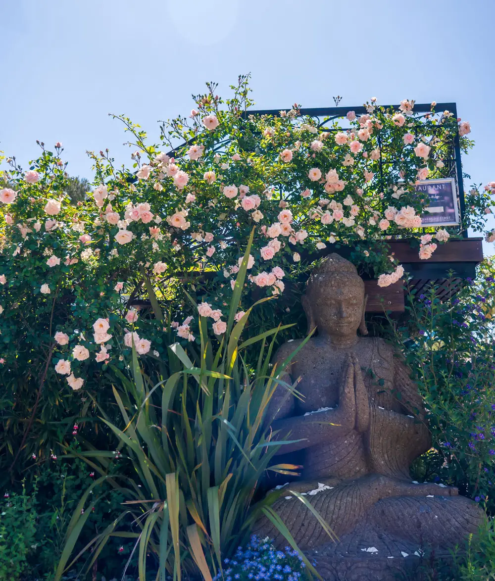 Buddha unter den Rosen – Esterel Caravaning